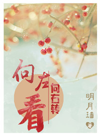 向左看，向右转全文免费阅读